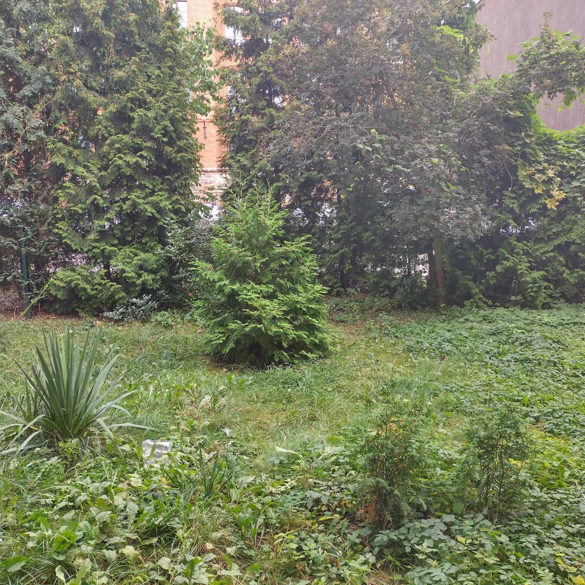 Apartament Przedzamcze Stary Toruń Buitenkant foto